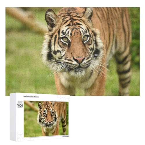 1000 Teile Tiger Kunst Puzzle zur Entspannung Geschenk für alle Altersgruppen von Generisch