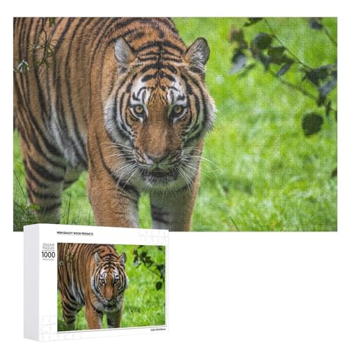 1000 Teile Tiger Puzzle aus Lindenholz, Stressabbau und Heimdisplay von Generisch