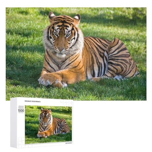 1000 Teile Tiger Puzzle aus Lindenholz zur dekorativen Präsentation von Generisch