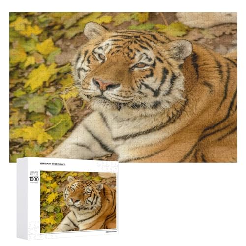 1000 Teile Tiger Puzzle für Wohnkultur und Entspannung von Generisch