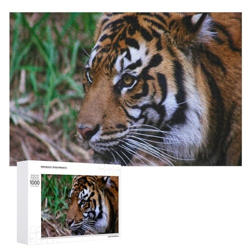1000 Teile Tiger Puzzle für ruhiges und achtsames Spielen 1000 Teile Tiger Puzzle für ruhiges und achtsames Spielen von Generisch