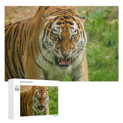 1000 Teile Wildlife Tiger Puzzle, Stressabbau und Heimdisplay von Generisch