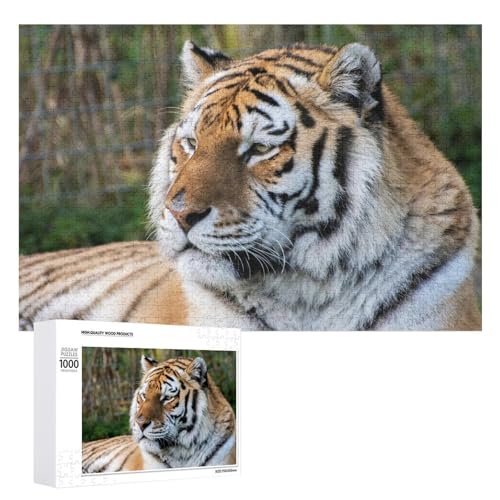 1000 Teile Wildlife Tiger Puzzle für Familienspielabend, Erwachsene und Jugendliche von Generisch
