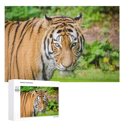 1000 Teile Wildlife Tiger Puzzle für Naturliebhaber und Puzzle-Fans von Generisch