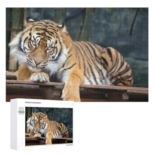 1000 Teile Wildlife Tiger Puzzle zur Entspannung Geschenk für jedes Alter von Generisch