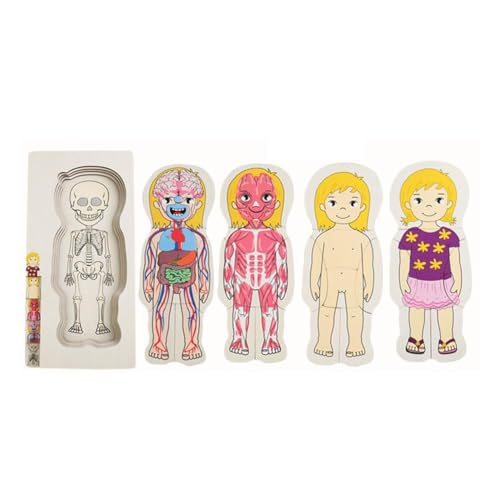5-lagiges menschlicher Körper Holzpuzzle für Kinder - Anatomie Lernspielzeug STE Muskeln & Organe 36pcs Skelett mit Haut von Generisch