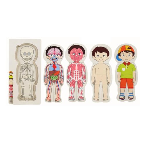 5-lagiges menschlicher Körper Holzpuzzle für Kinder - Anatomie Lernspielzeug STE & Haut, 36 Teile mit Organen Skelett, Muskeln, 5-lagiges menschlicher Körper Holzpuzzle für Kinder - Anatomie Lernspielzeug STE & Haut, 36 Teile mit Organen Skelett, Muskeln, von Generisch