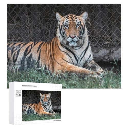 500 Teile Lindenholz Tiger Puzzle für Wohnkultur und Entspannung von Generisch