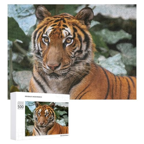 500 Teile Tiger Art Puzzle für Familienspielabend, Erwachsene und Teenager von Generisch