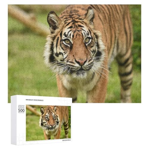 500 Teile Tiger Kunst Puzzle zur Entspannung Geschenk für alle Altersgruppen von Generisch