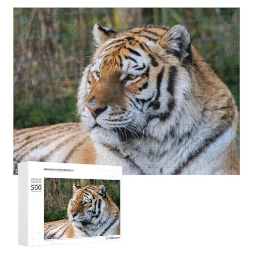 500 Teile Wildlife Tiger Puzzle für Familienspielabend, Erwachsene und Teenager von Generisch