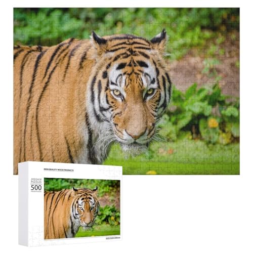 500 Teile Wildlife Tiger Puzzle für Naturliebhaber und Puzzlefans von Generisch