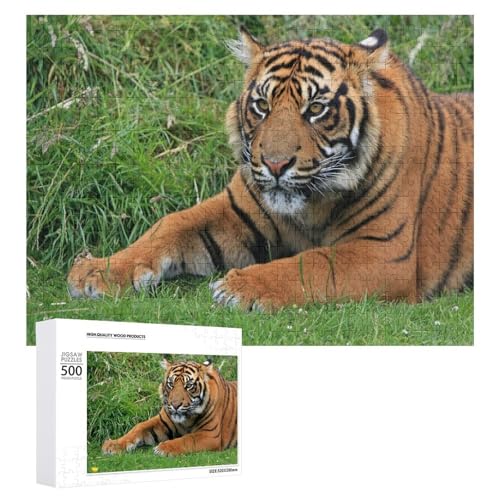 500 Teile Wildtiere Puzzle Tiger zur Entspannung Geschenk für jedes Alter von Generisch