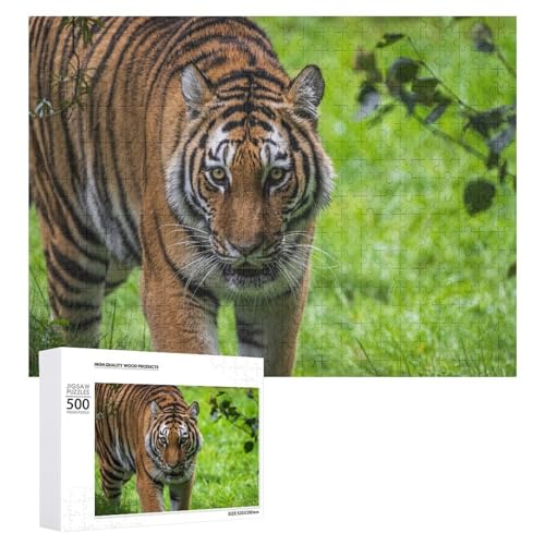 500-teiliges Tigerpuzzle aus Lindenholz, Stressabbau und Heimdisplay von Generisch