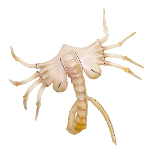 Alien Facehugger Maske, Face Hugger Alien Latexmaske, Horrorfilm, Alien Facehugger, Halloween-Maske, gruselige Raubfisch-Gesichtsabdeckung, realistische Masken, Gesichtsabdeckung für Halloween- , Alien Facehugger Maske, Face Hugger Alien Latexmaske, Horrorfilm, Alien Facehugger, Halloween-Maske, gruselige Raubfisch-Gesichtsabdeckung, realistische Masken, Gesichtsabdeckung für Halloween- , von Generisch