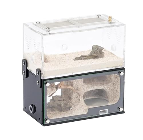 Ameisenfarm Erweiterung Ameisennest Feuchtigkeitsspendendes Formicarium Box Pädagogische Werkstatt Acryl Insektenvilla Ameisen Haus Schloss Ameisenfarm Erweiterung Ameisennest Feuchtigkeitsspendendes Formicarium Box Pädagogische Werkstatt Acryl Insektenvilla Ameisen Haus Schloss von Generisch