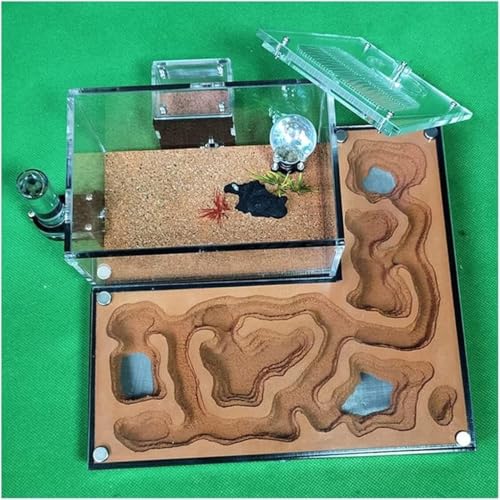 Ameisenfarm Lebensraum-Set – Ameisenburg mit großem Fassungsvermögen und Wasserturm – pädagogisches Ameisennest und Futterraum für Ameisenhaltung und Studium – ideal für Zuhause oder Klassenzimmer von Generisch