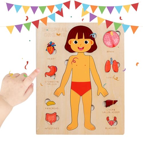 Anatomie Für Kinder, Pädagogisches Holzpuzzle Vom Menschlichen Körper, Kleinkinder Reisespielzeug Für Schule Jugendliche Studenten Kinder Bildung Lernen von Generisch