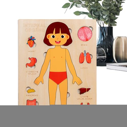 Anatomie Für Kinder | Holz Lernpuzzle Körper,Wissenschaftliches Spielzeug Für Kleinkinder Und Kinder Mädchen Kindergarten Schule Unterricht von Generisch