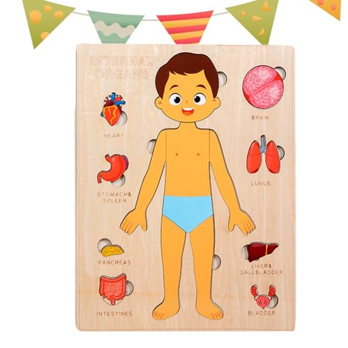 Anatomie Für Kinder - Holz Lernspielzeug Menschliche Körperteile - Frühpädagogisches Lernspielzeug Für Kinder Und Jugendliche Mädchen von Generisch