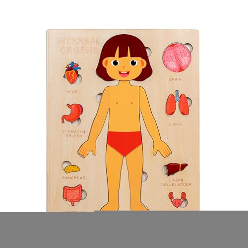 Anatomie Für Kinder - Pädagogisches Holzpuzzle Vom Menschlichen Körper,Wissenschaftliches Spielzeug Für Kleinkinder Und Kinder Mädchen Kindergarten Schule Unterricht von Generisch