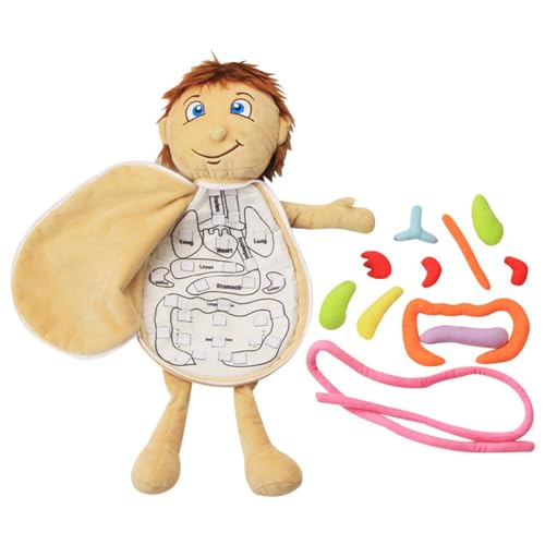 Anatomiepuppe für Kinder – leichtes gepolstertes Modell in anatomischer Form herausnehmbar für frühkindliche Betreuung im Alter | 3D-Spielzeug für die Struktur von kleinen Körpern von Generisch