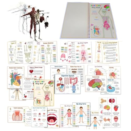 Anatomy Sensory Educational Book - Human Anatomy Busy Book | Human Organs Body Systems Matching Busy Sensory Book | Anatomy Busy Book for Preschool Kindergarten, Age Learning Anatomy Sensory Educational Book - Human Anatomy Busy Book | Human Organs Body Systems Matching Busy Sensory Book | Anatomy Busy Book for Preschool Kindergarten, Age Learning von Generisch