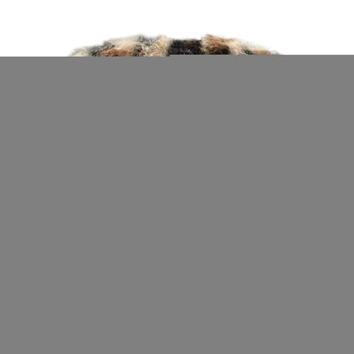 Autositz Für Babypuppen,17cm Weicher Sitz Mit Belüftungsclip | Süßes Spielzeug Zubehör Deko Modische Schreibtischdekoration Für Mädchen Kinder Sammler Autositz Für Babypuppen,17cm Weicher Sitz Mit Belüftungsclip | Süßes Spielzeug Zubehör Deko Modische Schreibtischdekoration Für Mädchen Kinder Sammler von Generisch