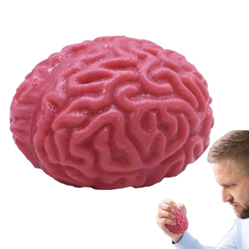 Bälle zum Quetschen des Gehirns - Halloween Brain Toy | Halloween Squeezing Toy mit realistischem falschem Gehirn | Sensorisches Anti -Stress -Spielzeug von Generisch