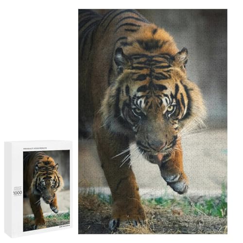 Bengal Tiger 1000 Teile Set Holzpuzzle - Nachhaltiges Holzmaterial, perfekte Kunstausstellung für Paare Bengal Tiger 1000 Teile Set Holzpuzzle - Nachhaltiges Holzmaterial, perfekte Kunstausstellung für Paare von Generisch