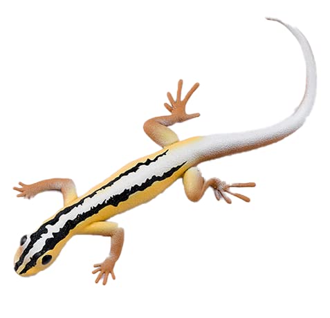 Blue Ocean Geckos Planet Wow Sammelfiguren – Gecko Nr 05 – Wiegmanns Streifen-Gecko von Generisch