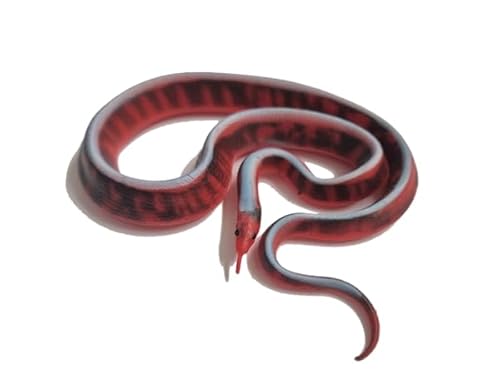 Blue Ocean Snakes Planet Wow Sammelfiguren 2024 - Figur 7 - San-Francisco- Strumpfbandnatter Blue Ocean Snakes Planet Wow Sammelfiguren 2024 - Figur 7 - San-Francisco- Strumpfbandnatter von Generisch
