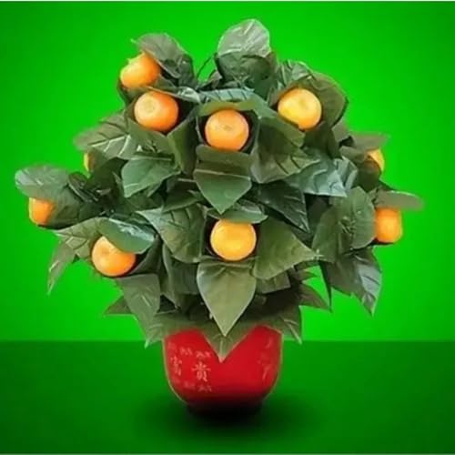 Blühende Orangen – Fernbedienung (10 Orangen, Batterie-Version) Zaubertricks erscheinen verschwinden Magia Bühnenparty Hochzeit Requisite Komödie (10 Stück orange) von Generisch