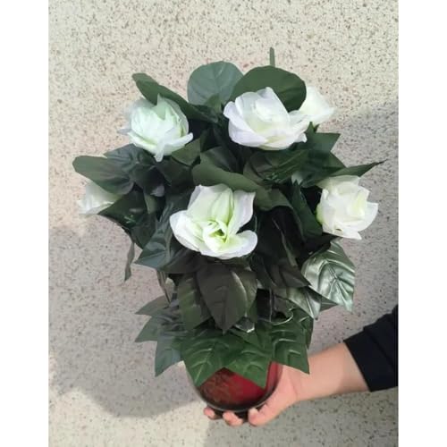 Blühende Orangen – Fernbedienung (10 Orangen, Batterie-Version) Zaubertricks erscheinen verschwinden Magia Bühnenparty Hochzeit Requisite Komödie (10 Stück weiße Rose) von Generisch
