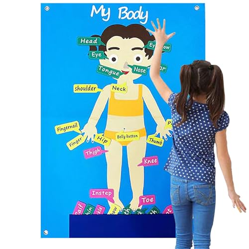 Body Teile Lernpuzzle-Kit-Fun Anatomy Filzspielset Für Kinder, inspirierte -Bildungsspielzeug, Sensorische Motorkompetenzbauer, Klassenzimmer-Geschichtenerzählen, Interaktive Gesch Body Teile Lernpuzzle-Kit-Fun Anatomy Filzspielset Für Kinder, inspirierte -Bildungsspielzeug, Sensorische Motorkompetenzbauer, Klassenzimmer-Geschichtenerzählen, Interaktive Gesch von Generisch