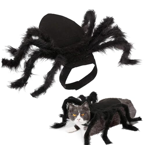 Cat Halloween Kostüm - Haustiere Kostüm DceCorations | Verstellbare Haustierkostüme für Katzen und kleine Hunde | Katzenkostüme für Halloween | Hallô zwischen Haustier Côstumes | Simulation Fun Outfit Cat Halloween Kostüm - Haustiere Kostüm DceCorations | Verstellbare Haustierkostüme für Katzen und kleine Hunde | Katzenkostüme für Halloween | Hallô zwischen Haustier Côstumes | Simulation Fun Outfit von Generisch
