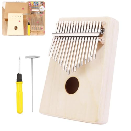 Daumenklavier 17 Tasten, mit Mal-Stimmhammer und Pinsel, Daumenkit, machen Sie Klavier, Daumenklavier zu Ihrem Gi Own Daumenklavier 17 Tasten, mit Mal-Stimmhammer und Pinsel, Daumenkit, machen Sie Klavier, Daumenklavier zu Ihrem Gi Own von Generisch