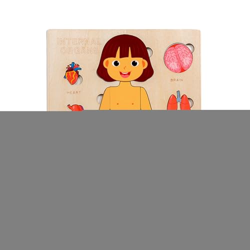 Der Menschliche Körper Für Kinder - Holz Lernspielzeug Menschliche Körperteile | Kleinkinder Reisespielzeug Für Schule Jugendliche Studenten Kinder Bildung Lernen Der Menschliche Körper Für Kinder - Holz Lernspielzeug Menschliche Körperteile | Kleinkinder Reisespielzeug Für Schule Jugendliche Studenten Kinder Bildung Lernen von Generisch