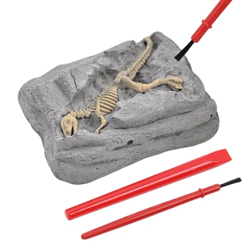 Dinosaur Dig Kit, Excavation Toy Set, 3.15x2.56in Stem Learning Activity, Educational Archeology Tools, Sensory Exploration Play for Outdoor, Adventure Craft, Kids Science Fun Dinosaur Dig Kit, Excavation Toy Set, 3.15x2.56in Stem Learning Activity, Educational Archeology Tools, Sensory Exploration Play for Outdoor, Adventure Craft, Kids Science Fun von Generisch