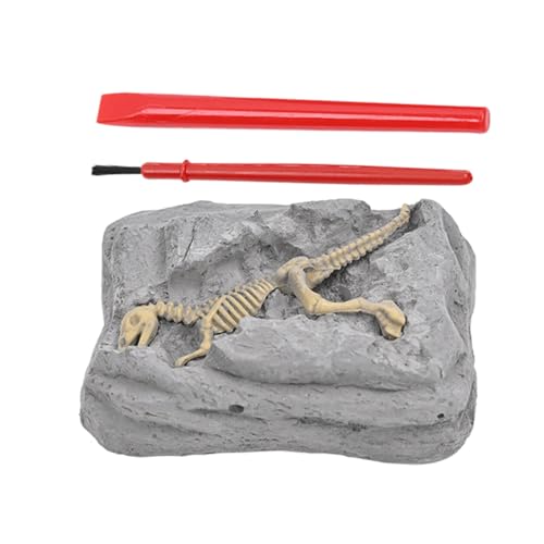Dinosaurier Fossil Digging Kit, Dinosaurier -Ausgrabungs -Kit - Paläontologie -Kit für Kid | STEM Learning Science Experimente Bildungsspielzeug mit Archäologie -Werkzeugen für sensorisches Spiel, Out von Generisch
