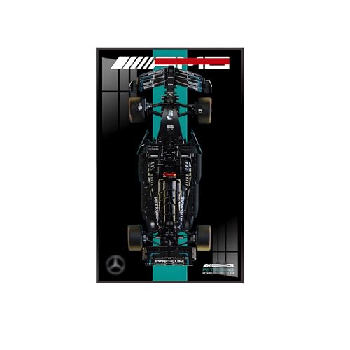 Display Wallboard für Le-go-a Technic für Mer-cedes-AMG F1 W14 E Rennwagen, kompatibel mit L-e*g-o Mer-cedes-AMG F1, für L-e*g-o Auto Wandhalterung, nur Wallboard (Basics) von Generisch