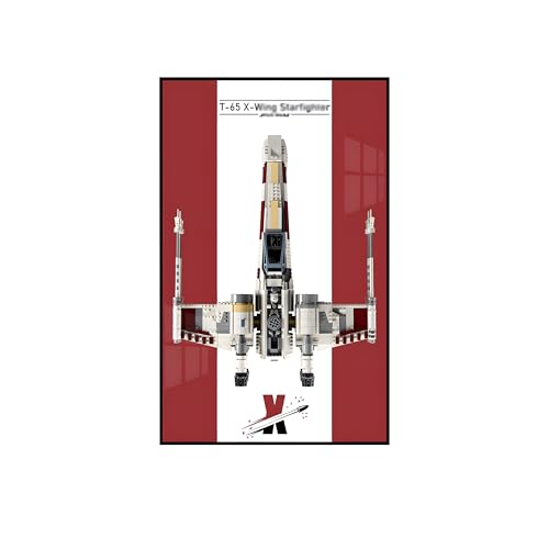 Display-Wandpaneel für LEGO 75355 Fighter Set, dekoratives Wandpaneel für Sammlerstücke, Wandmontiertes Acryl-Displaypanel, dekorative Aufbewahrungs-Hintergrundtafel für LEGO 75355 (kein Modus von Generisch