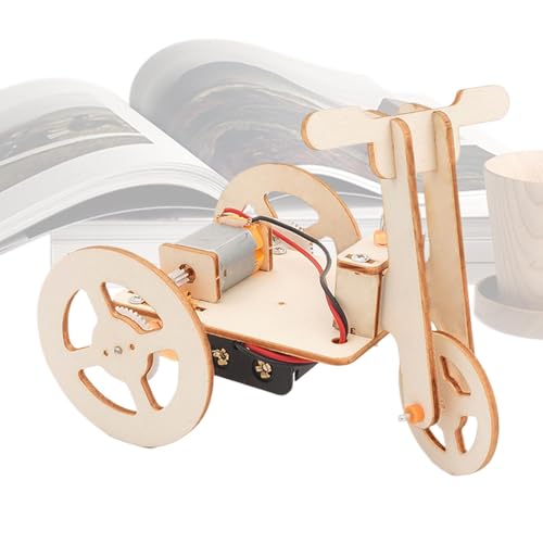 Dreiradgebäude -Kit - Spielzeugzubehör, tragbare Stamm -Elektrik -Dreiräder | Holzbau, Lehrmittel, Lern- und Bildungsspielzeug, wissenschaftliches Experimentspielzeug für die Schule von Generisch