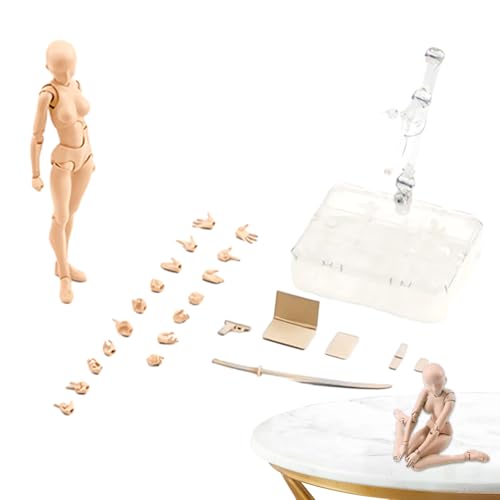 Dynamische Zeichenpuppe – bewegliche Puppe in Studioqualität, realistische menschliche Proportionen für das Zeichnen, Fotografie und Stillleben (Holzsockel im Lieferumfang enthalten) von Generisch