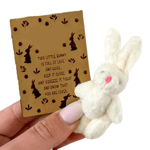 Easter Bunny Plush, Cartoon Bunny Candy Card, 1.97x2.36in Funny Greeting with Cute Design, Compact and Gift Ready for Family, Friends, Teens, Girls, Adults, Everyone von Generisch