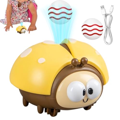Elektrischer Schwebe Ball Für Kinder,Marienkäfer Vorschule Lernspielzeug Set - USB-Aufladbares Interaktives Ballspiel Für Kita Vorschule Reise von Generisch