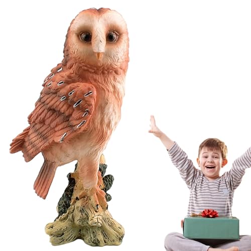 Eule Statue Realistisches Vogelmodell Lernspielzeug Sammelfigur Tier Figur für Wohnzimmer Schlafzimmer Bücherregal Desktop von Generisch