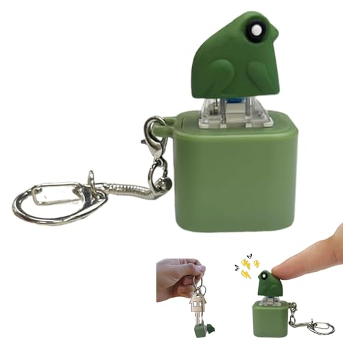 Fidget Clicker Adult Sound and Light Sensory Toy Frog Ornament Keyboard Key Chain Stress Relief Fun Focus Game for Youth Students Workplace Classroom Travel Portable Sensory Aid von Generisch