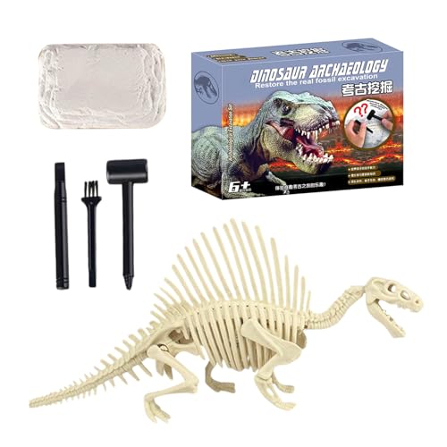 Fossilien Ausgrabungsset,Skelett Ausgrabungsset | Paläontologie Lernspielzeug Pädagogisches Spiel Kindergeburtstag Klassenaktivitäten Mint Lernen von Generisch