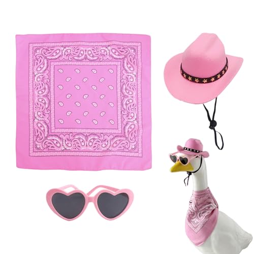 Gäste Skulpturen Kostüm Set, Gänse Skulpturen -Outfit -Set - Gänsestatue -Kleidungskit | Stylish Small Animal Costuming Kit beinhaltet Hutschal und Brille für Weihnachtsveranstaltungen Frühling von Generisch